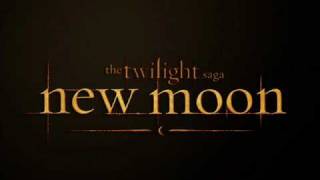 New Moon (The Meadow)