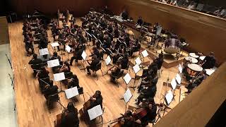 Hominum. Concierto para orquesta (4´11´´)
