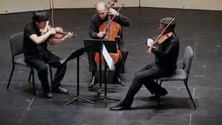Serenade for string trio in C major op.10
