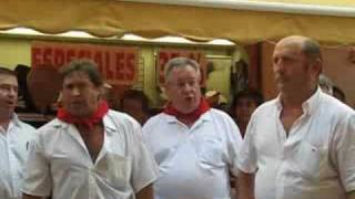 Fiestas de Estella, la Jota (cantada)