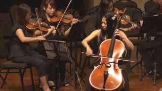 Cello Concerto in C minor, Mvt. 2