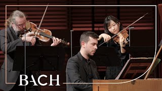 Harpsichord concerto in A major BWV 1055