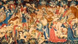 Symphony No. 29 - I Mov. Allegro brilliante