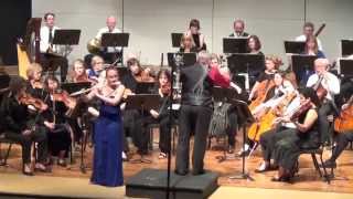 Flute Concerto - I Allegro