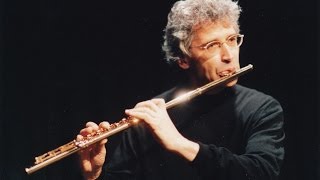 Flute Concerto in e minor op.86