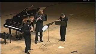 Flute Trio in G minor, Op. 13, No. 2