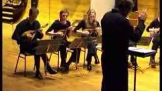Concerto a pizzico - III Rondo finale, 