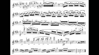 18 th violin concerto