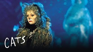 Cats Musical- Memory