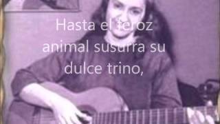Volver a los 17