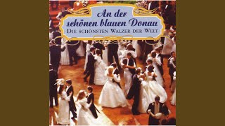 Nachtfalter Walzer