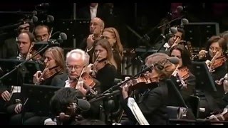 Concerto Arena di Verona (1´40´´)