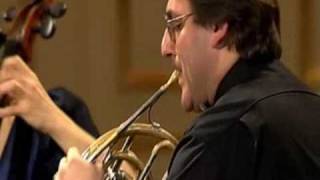 Horn Quintet KV 407 - I Mov