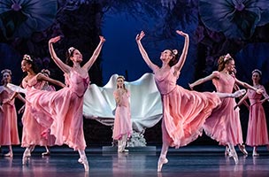 sueño de una noche de verano