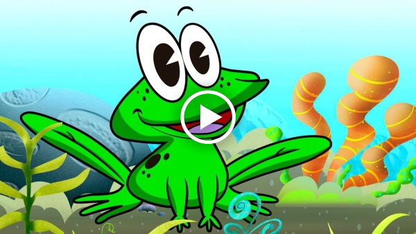 La rana cantaba debajo del agua - Video Musicalis